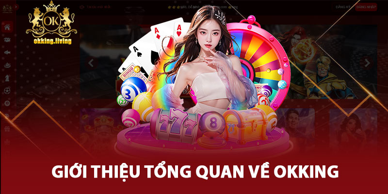 Giới Thiệu Tổng Quan Về OKking