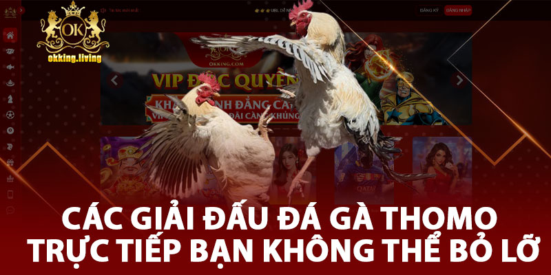 Các Giải Đấu Đá Gà Thomo Trực Tiếp Bạn Không Thể Bỏ Lỡ